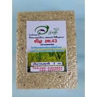 ราคา ข้าว ก ข 43 ข้าวเพื่อสุขภาพ60031 otop (8569698878)