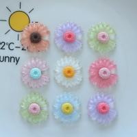 ราคา 10ชิ้น/แพ็คโปร่งใสเดซี่ดอกไม้เรซิ่น แฟลตแบ็ค ทําเอง สําหรับกิ๊บต่างหูต่างหูรองเท้าหัวเข็มขัดวัสดุตกแต่ง (26089606514)