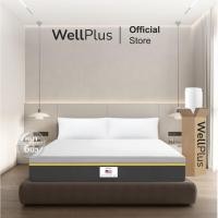 ราคา SB Design Square Wellplus [อัดสุญญากาศ] ที่นอนยางพาราแท้ รุ่น Amelia ความหนา 6 นิ้ว ขนาด 5 ฟุต (29322845912)
