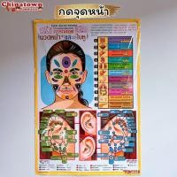 ราคา โปสเตอร์ ✅ กดจุดหน้า ✅Poster ต่อมน้ำเหลือง นวด นวดแผนไทย ฤษีดัดตน กดจุดรักษาโรค การนวดกดจุด ลมปราณ นวดแผนโบราณ นวดแผนไทย (15479280547)