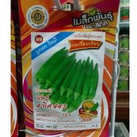 ราคา เมล็ดกระเจี๊ยบเขียว 10 แถม 1 คละได้ กระเจี๊ยบเขียว เมล็ดผัก เมล็ดพันธุ์ กระเจี๊ยบ (7013483278)