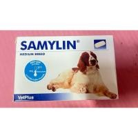 ราคา Samylin Medium Breed Tablets Dog แซมมิลิน อาหารเสริมสุนัข พันธุ์กลาง 10 - 30 เม็ด (25341350868)