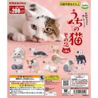 ราคา **ยกชุด 8 ตัวพร้อมส่ง** กาชาปองน้องแมว my cat v.2 ของแท้ (25964939379)