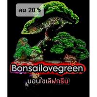 ราคา บอนไซ ต้นไม้ประดิษฐ์,ต้นไม้ปลอม,ต้นไม้มงคล,DIY (20539491795)