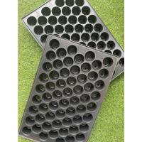 ราคา ถาดเพาะ ถาดเพาะเมล็ด ถาดเพาะชำ 60 หลุม และ 150 หลุม (12781803449)