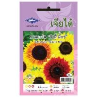 ราคา ทานตะวัน "บิวตี้ มิกซ์ " (1091061851)