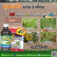 ราคา คุมแห้ง 3 เดือน กำจัดหญ้ากกขนาก หญ้าดอกขาว โสนหิน หญ้าข้าวนก สารเร่งการดูดซึม พื้นที่ 3-5 ไร่ คูลเกษตร KP20 (14389146206)