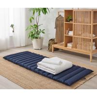 ราคา IKEA JESSHEIM ฟูกญี่ปุ่น ที่นอนพับเก็บได้ 80x195 ซม. (10694515578)