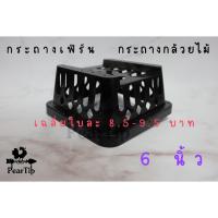 ราคา เฉลี่ยใบละ 8.5 - 9.5 บาทกระถางกล้วยไม้ กระถางเฟิร์น แบบเหลี่ยม ขนาด 6 นิ้ว กระถางกล้วยไม้ กระถางเฟิร์นพลาสติกสีดำ (10411722504)