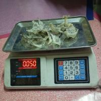 ราคา รังนกดิบแท้ % ยังไม่ได้ทำความสะอาดขน รังนกนางแอ่นบรรจุใส่ถุง♥️ 50กรัม ♥️ (40608192740)