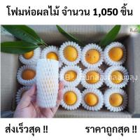 ราคา โฟมห่อผลไม้ S10,12 จำนวน 1000 ชิ้น มะปราง มะยงชิด ส้ม อะโวคาโด, แอปเปิลฟูจิ, ฝรั่ง,มะม่วง ,เมล่อน ถูกที่สุด!! (17107934519)