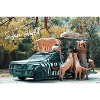 ราคา บัตรเข้าซาฟารีเวิลด์ บัตรชุดVIP ซาฟารีปาร์ค เบิร์ดปาร์ค โชว์ ราคาเต็มรวม 680 บาท **ไม่มีวันหมดอายุ** (10754073327)