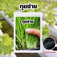 ราคา เมล็ดกุยช่าย บรรจุ 150 เมล็ด (41302665075)