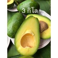 ราคา อโวคาโด้ (3 กิโล)พันธุ์พื้นเมืองคัดพิเศษ ลูกใหญ่เนื้อหนาเต็มคำ อร่อยมัน ปลอดสาร เกษตรอินทรีย์ จากดอยม่อนแจ่ม เชียงใหม่ (23276902668)