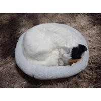 ราคา ส่งต่อ : ตุ๊กตาแมวนอนหลับจำลอง (24252414340)