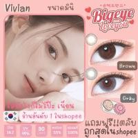 ราคา คอนแทคเลนส์Mini Vivian Brown / Gray (Kitty Kawaii) ขนาดมินิ (3028922696)