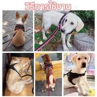 ราคา สายจูงสุนัข เสื้อรัดอกสุนัข เสื้อรัดอกสัตว์เลี้ยง สายจูงสุนัข พันธุ์กลาง-ใหญ่ หลายสี XL สายจูงหมา มีแถบสะท้ (42907164002)