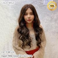 ราคา วิกผมแท้100%วิกผมแท้ทอเครื่องครึ่งทอมือครึ่งหนึ่งค่ะแทรกซ้ายขวาได้ค่ะ (4643546589)