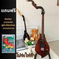 ราคา พิณโปร่งไฟฟ้าออกงาน3คอนแท็คไม้ขี้เหล็ก (24821250089)