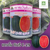 ราคา กินรี C-29 ลูกใหญ่ เมล็ดพันธุ์แตงโม แตงโมกินรี ตะวันต้นกล้า 40กรัม c29 (838676242)