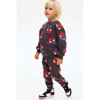 ราคา H&M(เอชแอนด์เอ็ม) เสื้อวอร์มพิมพ์ลาย เซต 2 ตัว Boys 2-piece printed sweatshirt set 1169768_15 (43622170148)