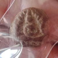 ราคา พระเนื้อดินเก่ามากไม่ทราบที่ (6907494592)