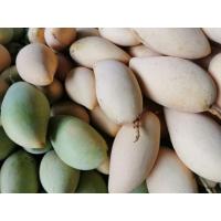 ราคา มะม่วง​น้ำดอกไม้​ สดใหม่จากสวน ส่งตรง (23084290985)