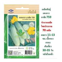 ราคา 5 ฟรี 1 คละได้ เมล็ดพันธุ์ แตงกวา มาลัย 759 เจียไต๋ เมล็ดผัก เมล็ดพันธุ์พืช เมล็ดพืช เมล็ดพันธุ์ผัก (5806823654)