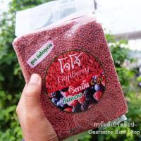 ราคา อาหารนกโจโจ้ อาหารนกกรงหัวจุก สูตรกินได้ทุกวันและสูตรแข่ง 500 กรัม (18042954401)