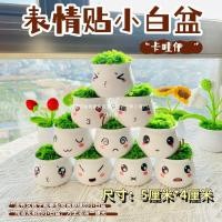 ราคา โครเชต์10รถแพ็คพลาสติกบิดบาร์กระถางดอกไม้ขนาดเล็กหนามินิทําเองแจกันขนาดเล็กกระถางขนสัตว์ที่ทําด้วยมือ ปล2x (41914381744)