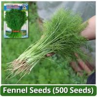ราคา เมล็ดพันธุ์ เม็ดยี่หร่า บรรจุ 500เมล็ด Fennel Seed ยี่หร่า ผักชีลาว เมล็ดพันธุ์แท้ เมล็ดพันธุ์ผัก ผักสวนครัว ผักออร์แกนิ (28509453353)