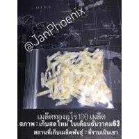 ราคา เมล็ดทองอุไรสีเหลือง100 +-9 เมล็ด (3572059785)