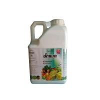 ราคา แมกนีเซียม คีเลต ( บั๊คแมก ) แกลลอน 5 ลิตร Mg EDTA ช่วยทำให้ใบพืชมีสีเขียวเข้มสมบูรณ์ แมกนีเซียม (Mg) คีเลต (28024213875)