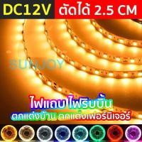ราคา 2835 Epoxy Silicone Ribbon  LED Strip 12V ไฟเส้น แบบริบบิ้น สำหรับประดับห้อง ยาว 5 เมตร ไฟตกแต่งห้อง แบบริบบิ้น (5534694498)