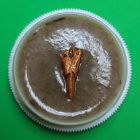 ราคา สีผึ้งค้าขายดี เสน่ห์สาริกาไม้ขนุน สีผึ้งแท้ สีผึ้งของแท้ สีผึ้งเรียกทรัพย์ สีผึ้งนำโชค สาริกาลิ้นทอง สาริกามหาเสน่ห์... (8148808510)