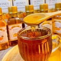 ราคา น้ำผึ้งแท้ น้ำผึ้งตะวันHONEYขวดเล็กและขวดใหญ่ (19280702073)