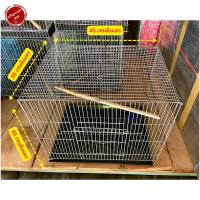 ราคา กรงนกหมอนใหญ่ หมอนเล็ก กรงนก กรง กรงลวด กรงนก สำหรับ นก ไก่ กระรอก กรงหมอน (7480259515)