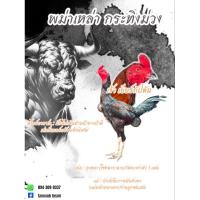 ราคา ไข่ไก่พม่าเบอร์แข้งโหด (40101209234)