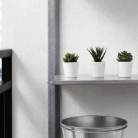 ราคา [IKEA แท้] ไม้ประดิษฐ์พร้อมกระถาง ชุด 3 ชิ้น (4636537579)