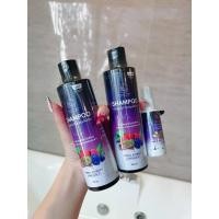 ราคา (ยกเซ็ตแชมพู 2 เซรั่ม 1)แชมพูพรทิน่า แชมพู สมุนไพร พรทิน่า Shampoo Pontina (20373115047)