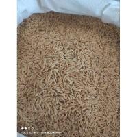 ราคา เมล็ดพันธุ์ข้าวหอมดอกมะลิ 105 แท้ 100% จำนวน 5 กิโลกรัม (22667016537)