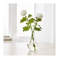 ราคา VILJESTARK วีเลียตสตาร์ค แจกัน, แก้วใส, 17 ซม. IKEA (1623946209)