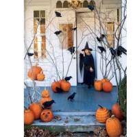 ราคา กิ่งไม้แห้งธรรมชาติสำหรับจัดงานฮาโลวีนกิ่งไม้แต่ละกิ่งจะไม่เหมือนกันความสูง 150 cm (26863163632)