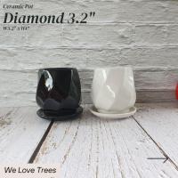 ราคา กระถางเซรามิค ทรงเพชร 3.2 นิ้ว (Diamond) (18931850921)