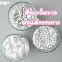 ราคา [พร้อมส่ง] หินเกล็ด สีขาว (0.5 kg. - 1 kg.) หินโรยหน้ากระถาง หินธรรมชาติ โรยจัดสวนญี่ปุ่น สวนถาง (26403505565)
