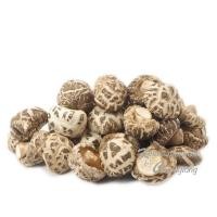 ราคา เห็ดหอมลายญี่ปุ่น ดอกใหญ่ ตราผึ้งทอง 50g. (13772240463)