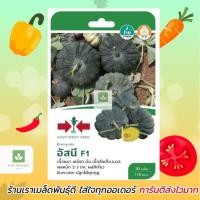 ราคา ฟักทอง อัสนี เมล็ดพันธุ์ฟักทอง 30เมล็ด/ซอง เมล็ดฟักทอง ตราศรแดง F1 (22278758793)