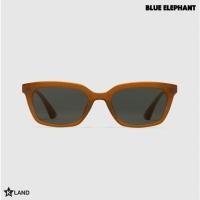 ราคา แว่นกันแดด BLUE ELEPHANT CAPELLA Pumpkin แบรนด์เกาหลี ของแท้ (22889928348)