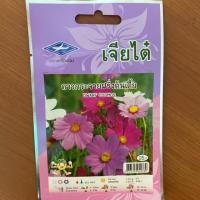 ราคา เมล็ดพันธุ์ดาวกระจายฝรั่งต้นเตี๊ย (6929383683)