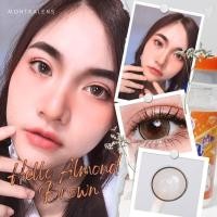 ราคา คอนแทคเลนส์ Hello Almond brown / Gray (Montra) ขนาดบิ๊กอาย (41151534348)